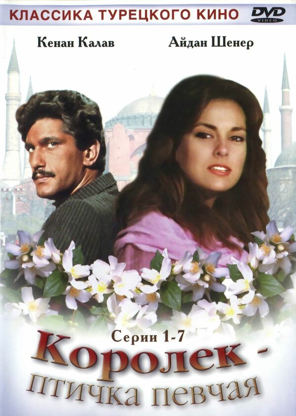 Постер: Королёк – птичка певчая